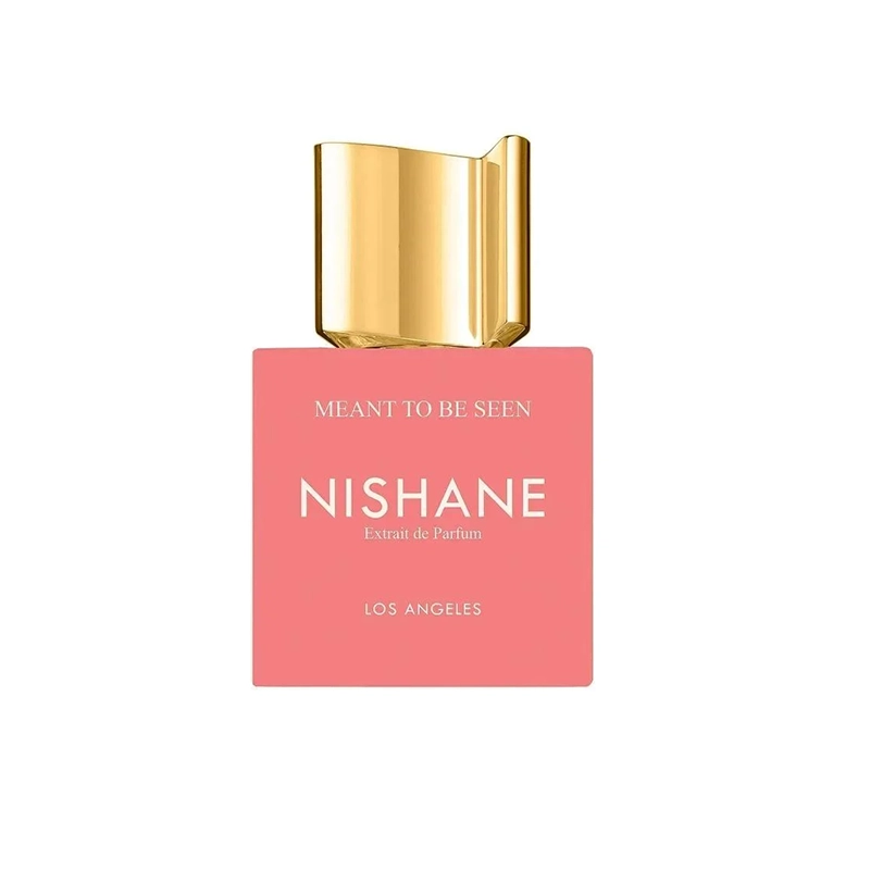 NISHANE-Meant-to-Be-Seen-EDP-100-ml نيشان مينت تو بي سين اكستريه دي بارفيوم – 100مل - الصورة 1